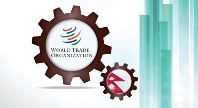 20 years in the WTO (Assessing Economic Gains  and Missed Opportunities)