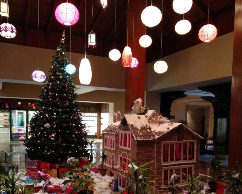Christmas Tree Lighting at Hyatt Regency
