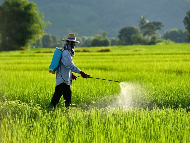 Unauthorized Pesticide Users to be Fined