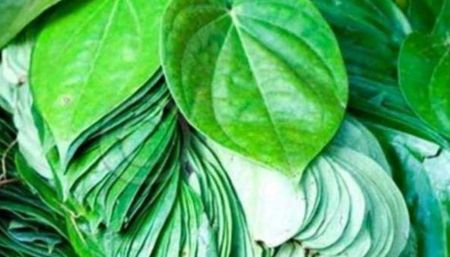 Betel Leaves Worth Over Rs 18 Million Imported in Nine Months