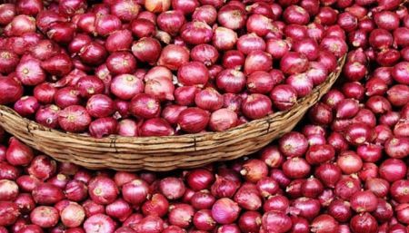 India Imposes Export Duty of 40% on Onions