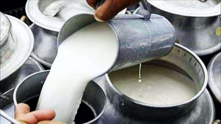 Farmers 'Cheated' Again in Payment of Milk Dues