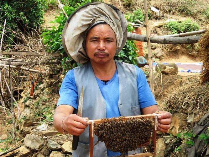 Jit Bahadur Thapa, who started bee keeping from just one hive about ten years ago, currently has 46 hives. His annual income from bee keeping is Rs 1.2 million. Photo: Dhruba Sagar Sharma/Aarthik Abhiyan