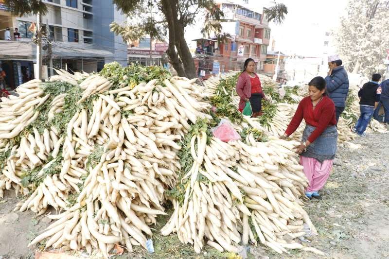 A local vendor selling radish in the capital on Monday. Photo: Aarthik Abhiyan