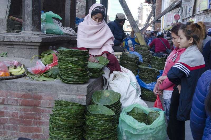 A woman in Basantapur making platters of leaves. Of late, plastic and machine-made plates have jeopardized the traditional hand-made business. Photo: Sagar Basnet/NBA
