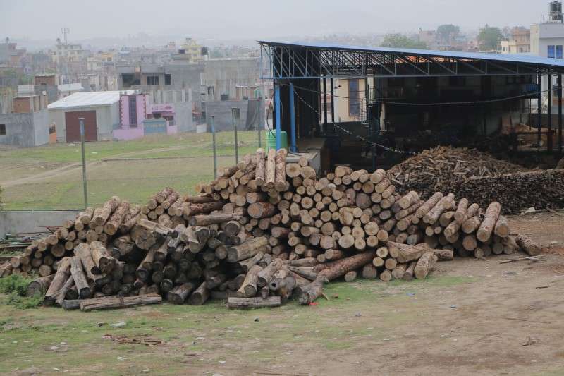 Logs stored at a factory in Sanagaun of Lalitpur on Saturday. The logs are used to make doors and windows. Photo: Pradip Luitel/NBA