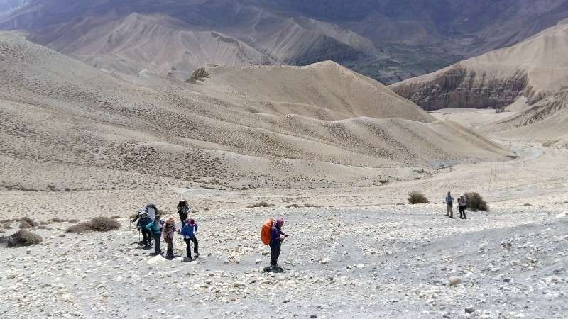 Tourists trekking in Upper Mustang in this recent photo. The number of trekkers has decreased due to the construction of motorable road in the region.
after the region got access to road. Photo: Surendra Poudel/NBA
