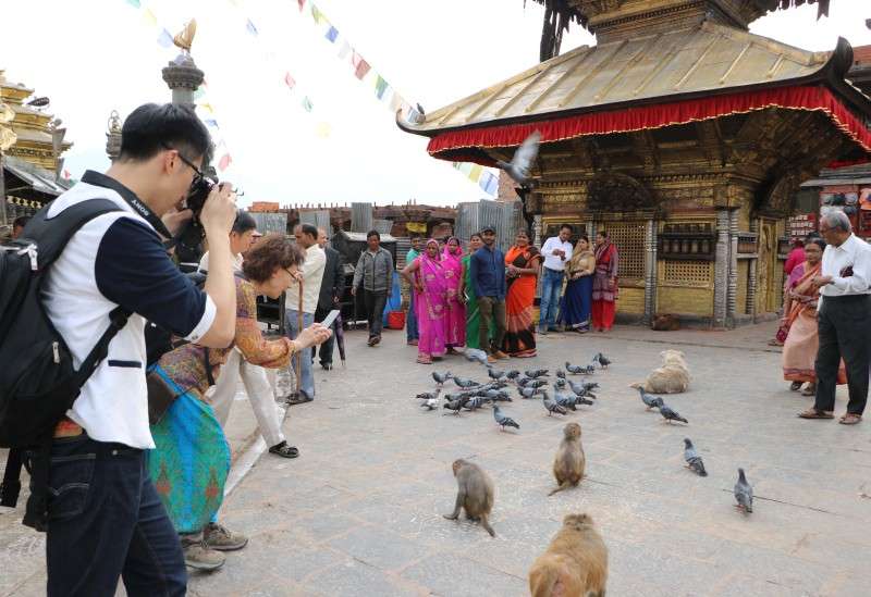Tourists taking pictures of monkeys and pigeon at Swayambhunath Temple. Foreigners refer to this Buddhist temple  as 'monkey temple' due to the significant number of monkeys on the temple premises. Photo: Pradip Luitel/NBA