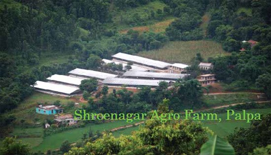 Shreenagar Agro Farm (SAF) Pvt Ltd