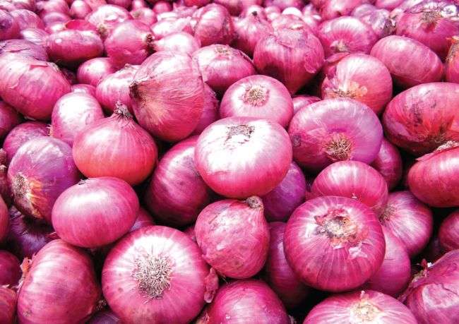 Nepal Imports Rs 2.44 Bn worth of Onions