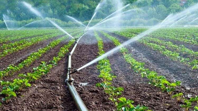 Irrigation and Agriculture Sector-focused Programmes Get Priority