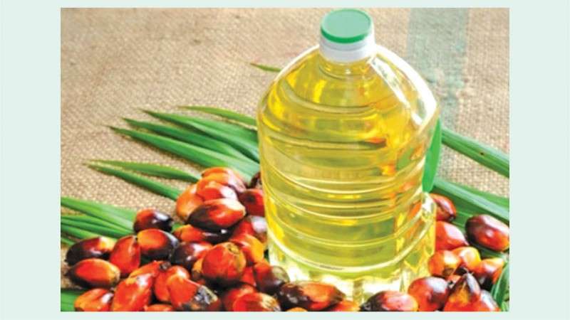 Production of Palm Oil takes a Nosedive
