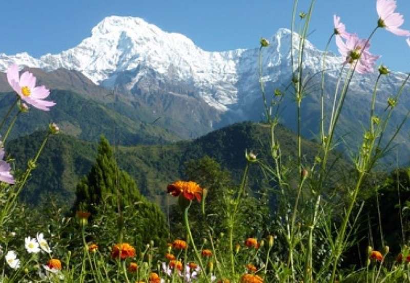 73rd Anniversary of First Ascent of Mt Annapurna being Observed Today ...