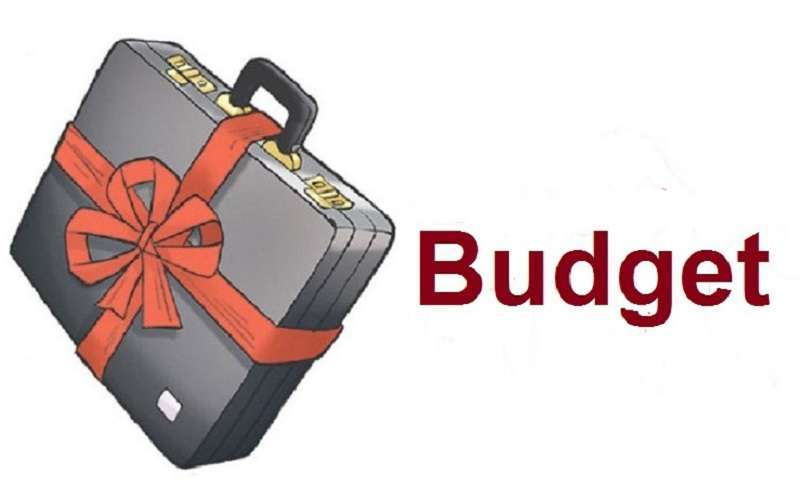 Government Downsizes Budget to Rs 1530 Billion
