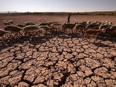 UN Forecasts La Nina could Help Lower Temperatures this Year   