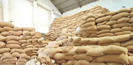 India’s Policy on Rice Exports Adversely Affecting Domestic Rice Industry of Nepal