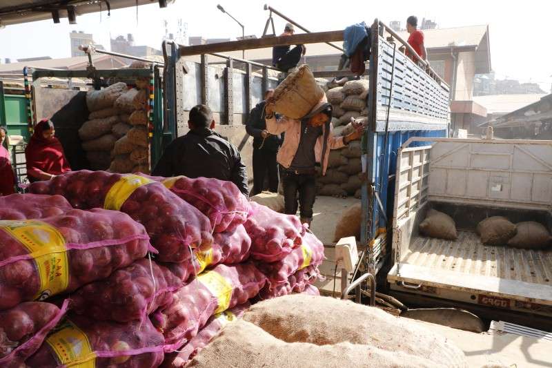 Labourers at Kalimati unloading sacks of potatoes and onions imported from India. Nepal has been importing vegetables worth millions as the domestic production is insufficient to meet the demand. Photo: Pradip Luitel/Aarthik Abhiyan