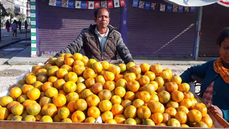 A local trader selling oranges for Rs 150 per kg at Udayapur district headquarters Gaighat. The price has increased this year due to low production of oranges in the district. Photo: Ajay Kumar Sah/Aarthik Abhiyan