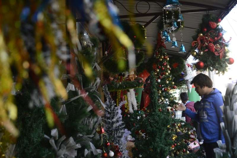 A person looking at a Christmas tree kept for sale at a shop in Jawlakhel on Sunday. Photo: Ravi Maharjan/NBA